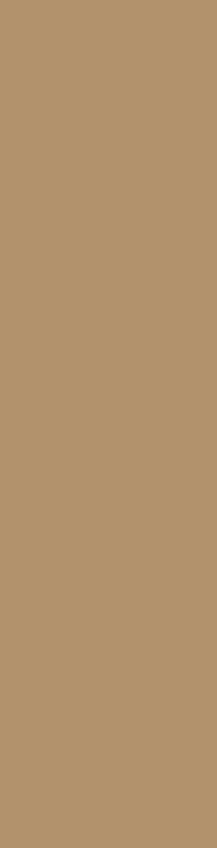 Elegantes Tirol Holzdesign